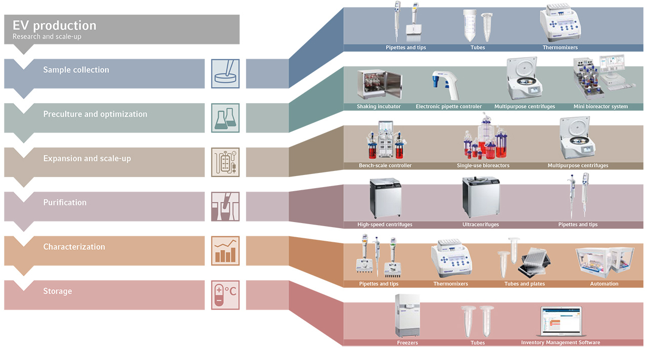 Extracellular-Vesicles-Workflow.HeaderMain.1284px.jpg